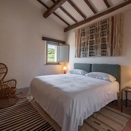 Locanda Fontelupa Campagnatico Habitación foto